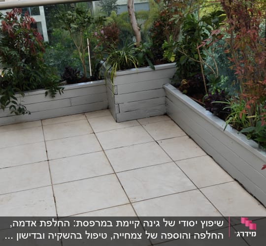 עציצים עם צמחים במרפסת עם נוף לבניינים